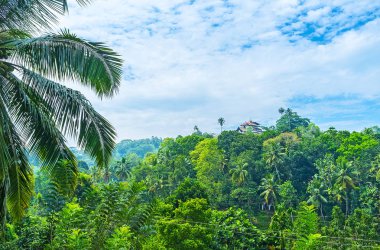Lankathilaka Vihara ormanlarda arasında
