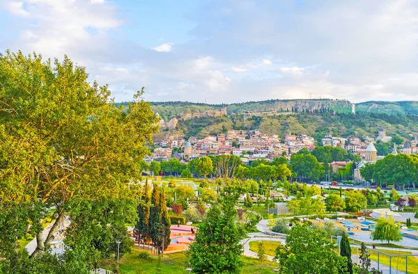 Das Grün des Würgetierparks in Tiflis — Stockfoto