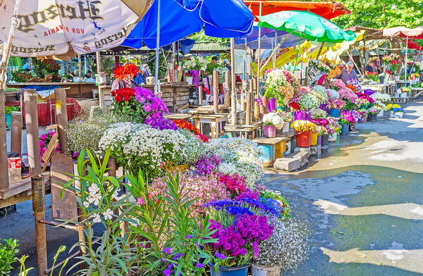 The Flower market in Mtatsminda district of Tbilisi