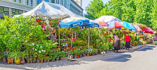 Panorama of Flower Market in Tbilisi