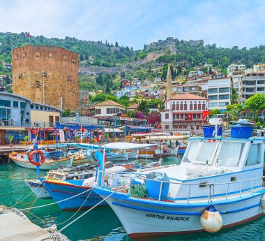 Alanya'da Balık tutma