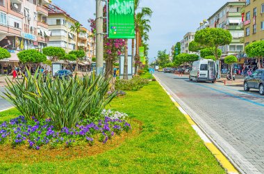 Alanya Atatürk Bulvarı'ndaki çiçek yatak