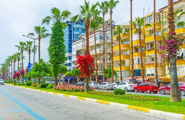Alanya sokaklarında çiçeklenir