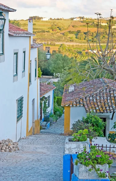 ที่ดินฟาร์มที่อยู่เบื้องหลัง Obidos — ภาพถ่ายสต็อก