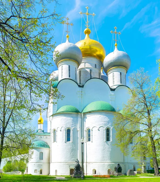 The Cathedral of Novodevichy Convent — Stock Photo, Image