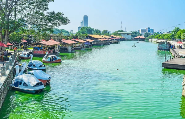 Colombo pazarda Gölü