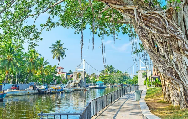 The Hamilton 's Canal Park in Wattala, Colombo — стоковое фото