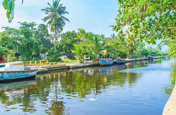 La naturaleza tropical a lo largo del Canal de Hamilton, Colombo — Foto de Stock