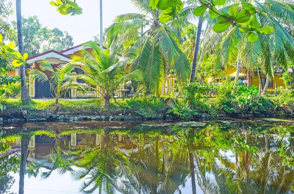 Las sombreadas orillas del Canal de Hamilton, Sri Lanka — Foto de Stock