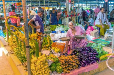 Wellawaya sebze ahır
