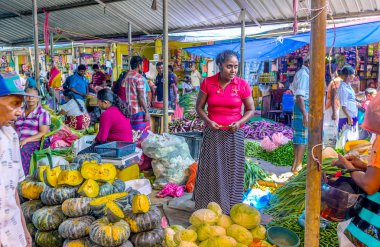 Wellawaya sebze ahır
