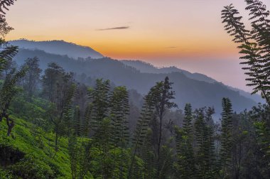 Güneşin doğuşunu Ella, Sri Lanka