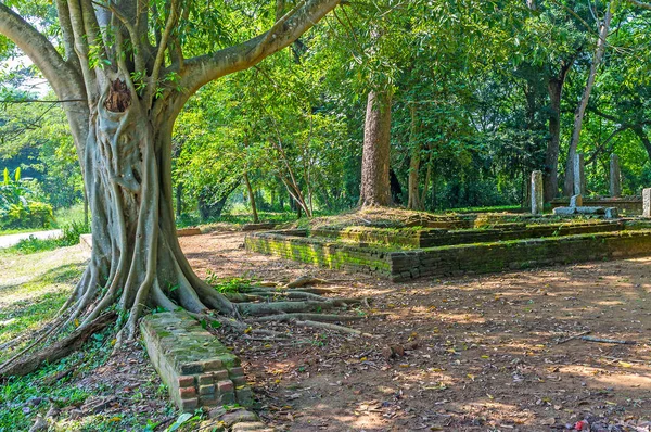 Las ruinas en el complejo Yudagawa, Battala — Foto de Stock