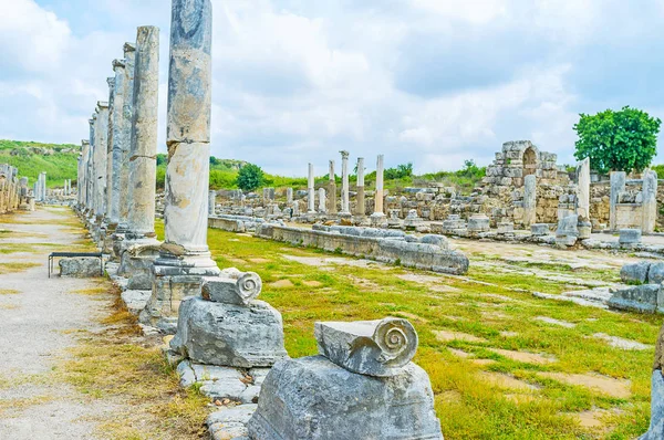 Perge sütunlarda