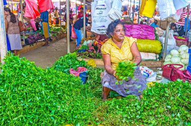 Wellawaya pazarda taze otlar