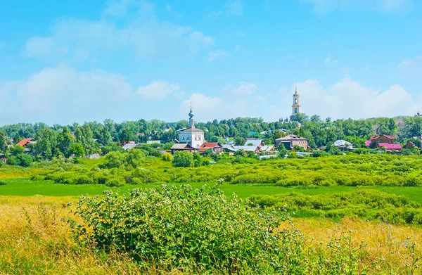 Ilinskiy çayır Suzdal uzun çimlerde