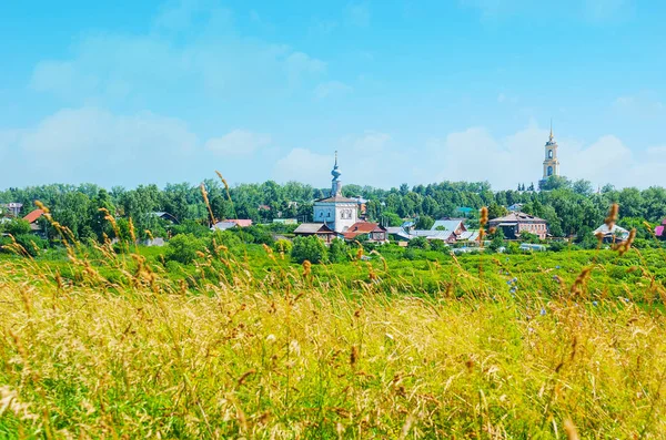 Suzdal kiliseler çim ile