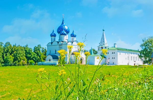 Suzdal Kremlin ile kır çiçekleri