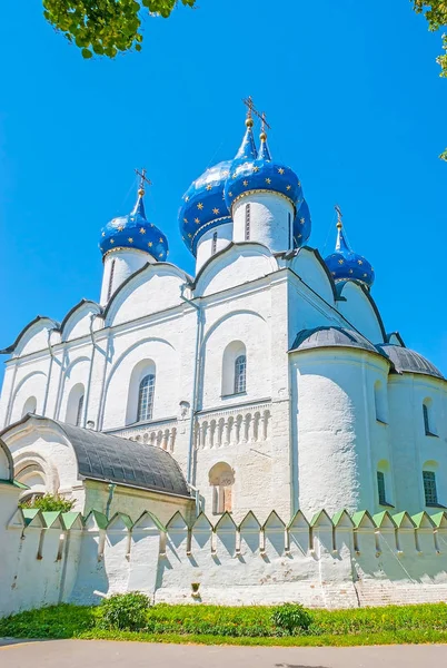 Nativity Cathedral of Suzdal Kremlin — Stock Photo, Image