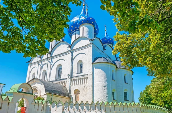 Ana Tapınağı Suzdal Kremlin