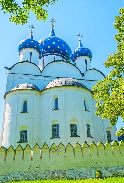 İsa'nın Doğuşu katedralde Suzdal apsis