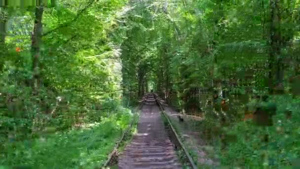 Le tunnel romantique de l'amour — Video