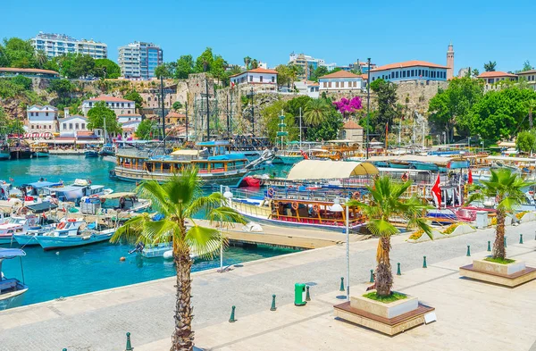 Passeio com palmas em Antalya marina — Fotografia de Stock