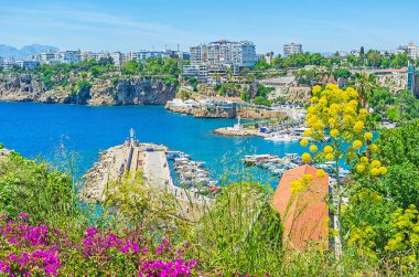 Antalya 'nın çiçeklenme kayalıkları