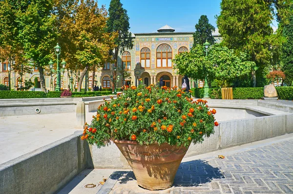 La vista con maceta, Golestan, Teherán — Foto de Stock