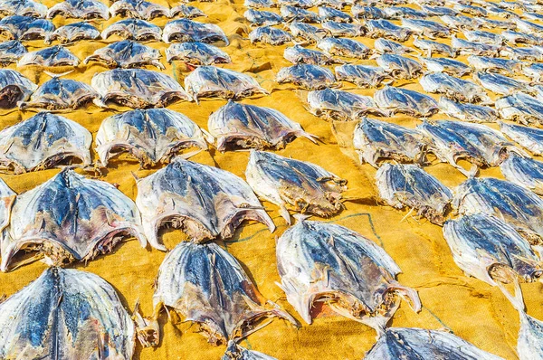 Fish processing in Sri Lanka