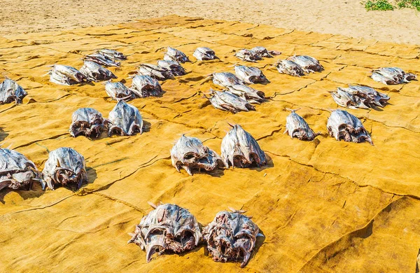 Dry fish in Sri Lanka — Stock Photo, Image