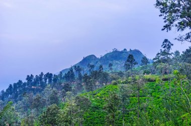 Akşam görünümü küçük Adam's Peak, Sri Lanka
