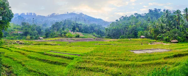 Evening in Sri Lankan village — Stock Photo, Image