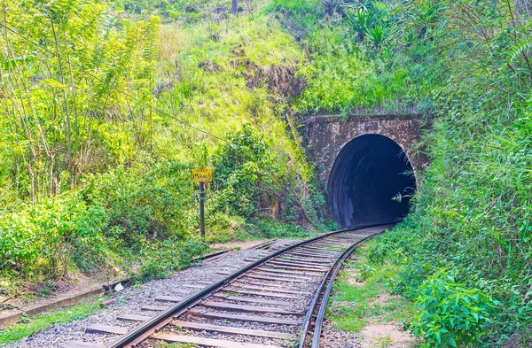 Damodara demiryolu tüneli — Stok fotoğraf