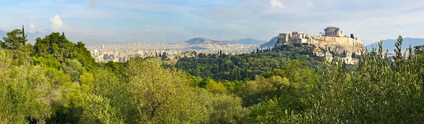 En el olivar de la colina de las ninfas, Atenas —  Fotos de Stock