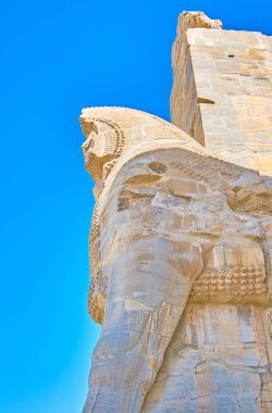 Persepolis, Iran boğa