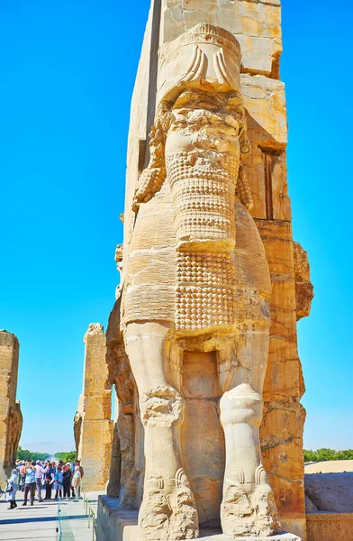 Antigua guardia de Persépolis, Irán — Foto de Stock