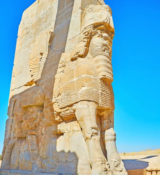 El alado Lamassu de Persépolis, Irán — Foto de Stock