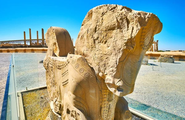 Antiguidades em Persepolis, Irão — Fotografia de Stock