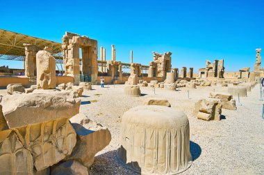 Ruins of Hundred Columns Hall, Persepolis, Iran clipart