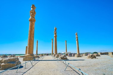 Apadana, Persepolis, Iran uzun sütunlar