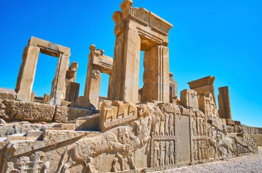 Reliefs on Tachara palace, Persepolis, Iran clipart