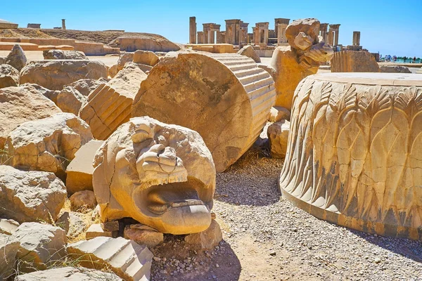 Las ruinas de Apadana, Persépolis, Irán — Foto de Stock