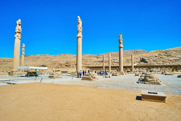 Colunas preservadas de Apadana, Persépolis, Irão — Fotografia de Stock