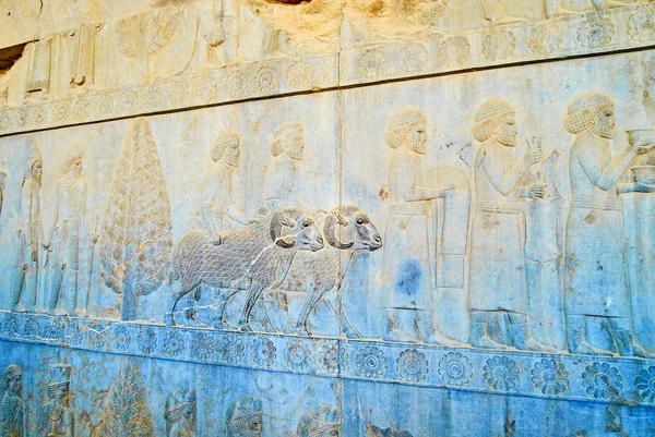 Reliefs of Apadana Stairway, Persepolis, Iran — Stock Photo, Image