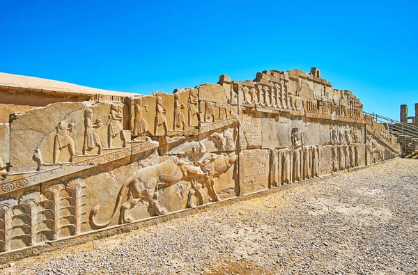 Reliefer av Xerxes palats, Persepolis, Iran — Stockfoto