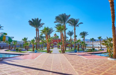 The palm garden in Sharm El Sheikh, Egypt clipart
