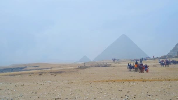 三大ピラミッドは砂漠地帯にあるので 観光客はしばしばピラミッドに乗るとローカル Colorith カイロ エジプトを楽しむラクダまたは馬キャリッジを使用 — ストック動画