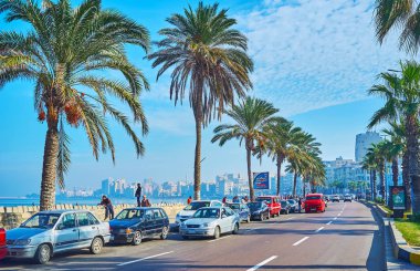 Corniche Bulvarı, İskenderiye, Mısır palmiye ağaçlarında