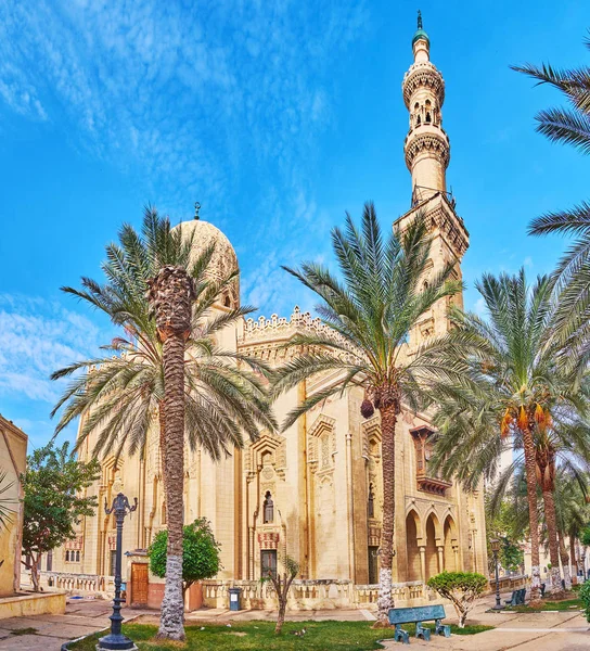 La moschea attraverso il giardino delle palme, Alessandria d'Egitto — Foto Stock